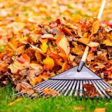 Spring and Fall Clean-Ups